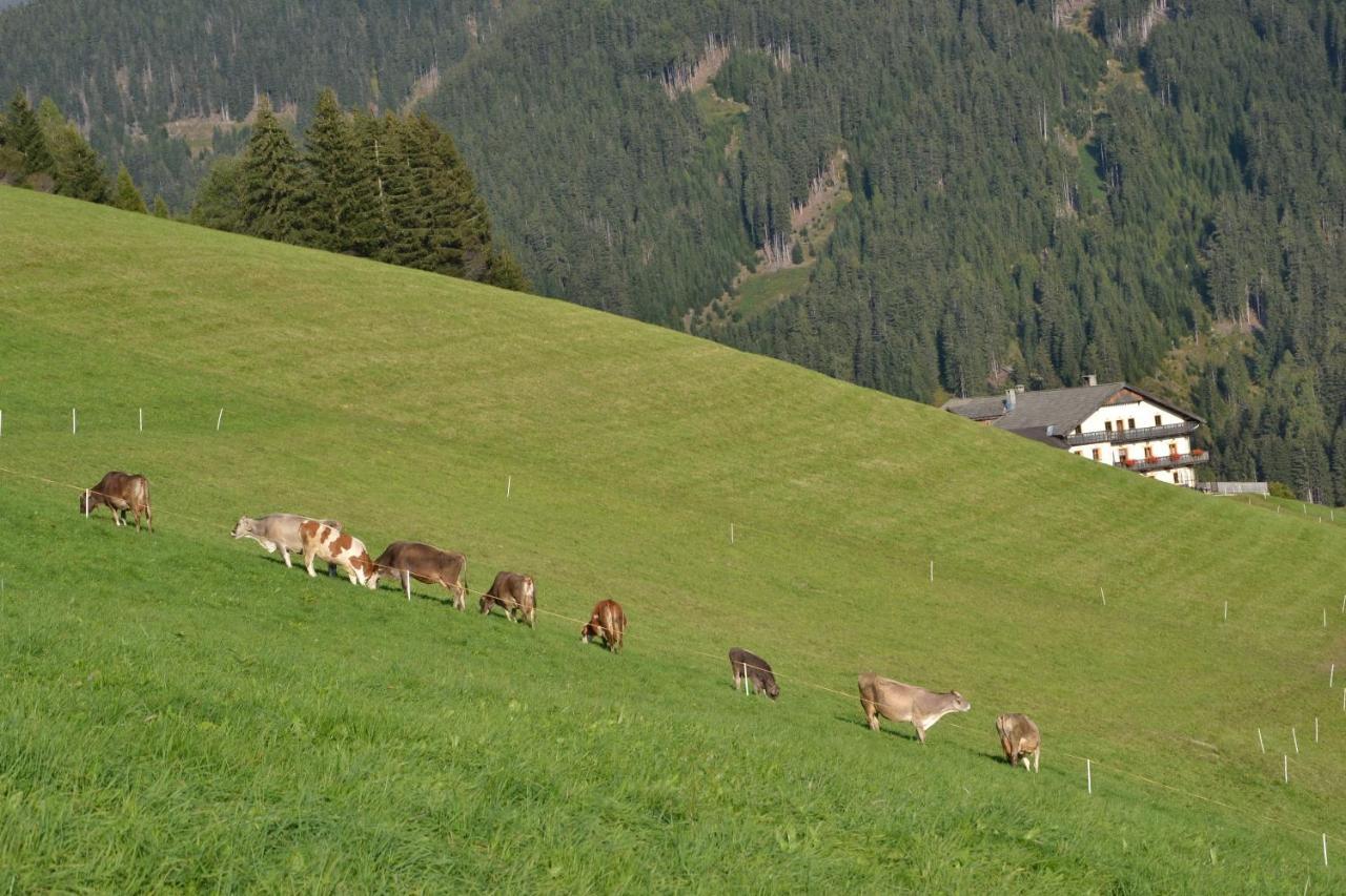 Апартаменты Gostnerhof Доббиако Экстерьер фото